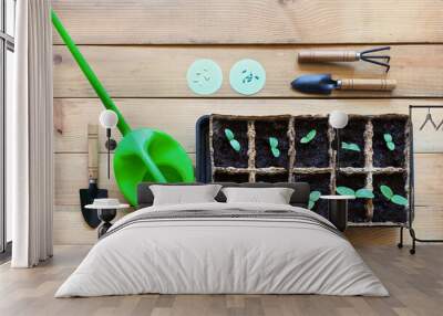 Fresh young seedlings of cucumbers in paper ecological containers, two types of seeds, watering can and gardening tools on wooden table. Spring gardening concept. Flat lay, closeup, copy space Wall mural