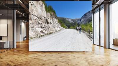 Group of tourists walk along a mountain road on a sunny day. Travel, walks in nature and hiking in the mountains. The concept of active recreation. Nuhu pass, Mondy-Orlik road, Buryatia Wall mural