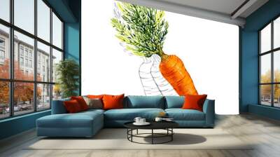 Carrot. Watercolor illustration. Wall mural