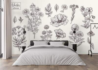 Vector collection of hand drawn flowers. Vintage Botanical Flowers. Peony, daisies, clover, violets, leaves and various herbs Wall mural