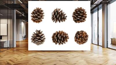 Pine cone isolated over white, transparent background, PNG. Set of multiple different angles of pine cone, element for design, Christmas decor. Wall mural