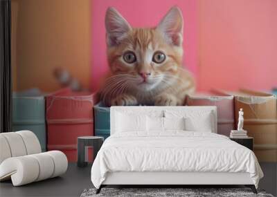 Education concept - rad ginger cat sitting on books on colorful background. April National Library Day. I love read the books. Cute mouse sitting on the top of books stack Wall mural