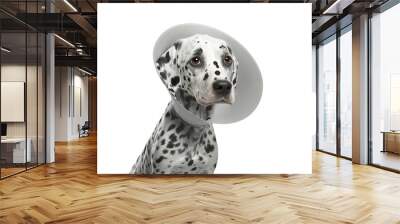 Dog after surgery wearing a cone. PNG.  Sad Dalmatian dog portrait isolated on transparent background. digital ai art Wall mural