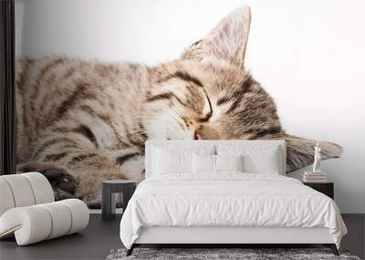 sleeping cat Wall mural