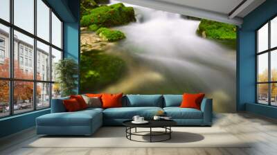 View of a beautiful autumn creek near Bohinj Wall mural