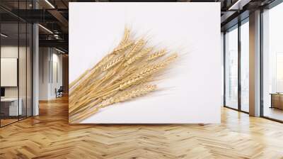 wheat ears Wall mural