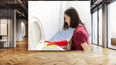 Asian girl with red rubber gloves is cleaning toilet bowl by using toilet wipe. She is sitting and smiling while cleaning the bathroom. Seen in top side view. Happy toilet cleaning concept. Wall mural