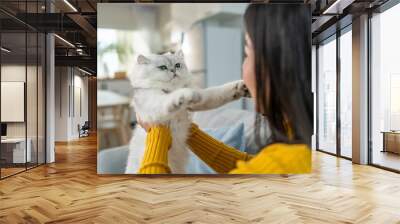 Asian woman holding and play with little cat with happiness at home.  Wall mural