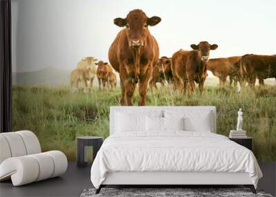 Cows, field and cattle portrait on grass, countryside and dairy farm for sustainable production, growth and ecology. Farming, nature and brown livestock, ranch animals and beef, meat or milk industry Wall mural