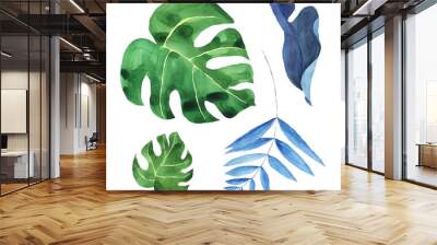 Set of tropical jungle green and blue leaves isolated on white background. Watercolor hand drawing illustration of frond, palm leaf, monstera. Perfect for card, poster, banner. Botanical art. Wall mural