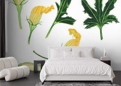 Set of zucchini and flower with leaf isolated on white background. Watercolor hand drawing illustration. Wall mural