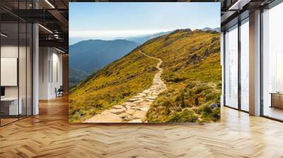 Rocky Hiking Trail in the Mountains on Sunny Day. Low Tatras Ridge, Slovakia. Wall mural