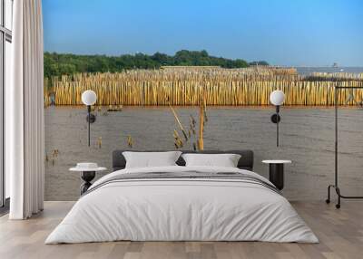 Row of bamboo stick and seagull bird in the sea with blue sky ba Wall mural