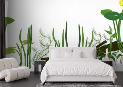 Border with yellow water-lily (Nuphar lutea) plant with green leaves, yellow flower and rhizome and other aquatic plants isolated on white background. Underwater pond detail Wall mural