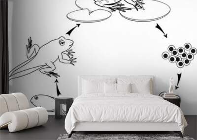 Coloring page. Life cycle of frog Wall mural