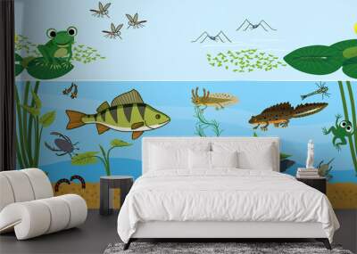 Ecosystem of pond. Animals living in pond. Diverse inhabitants of pond (fish, amphibian, leech, insects and bird) in their natural habitat Wall mural