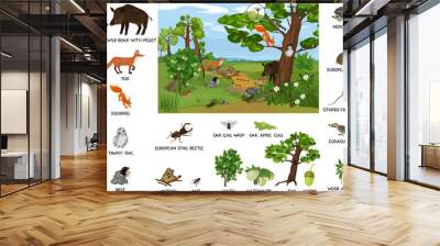 Grove biotope with different animals (mammals, birds, insects) and plants in their natural habitat. Ecosystem of forest Wall mural