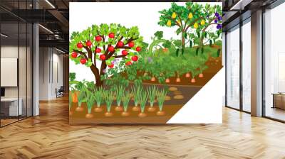 Kitchen garden with onion, potato, cucumber, carrot plants and apple and pear trees with ripe fruits. Harvest time Wall mural