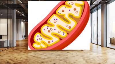 structure of mitochondrion isolated on white background Wall mural