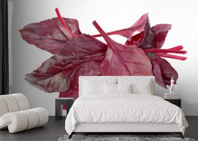 Fresh young chard red leaves isolated on white background Wall mural