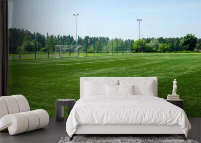 Soccer field with green artificial lawn and football goal on the background. Wall mural