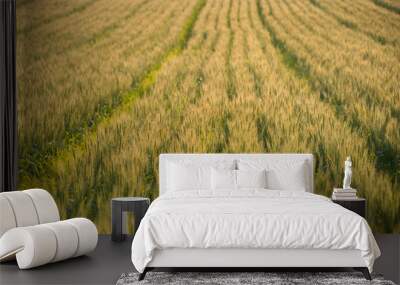 Wheat Field Against the Sunlight Wall mural