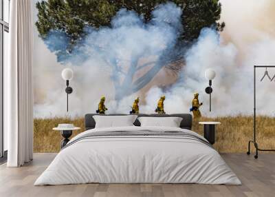 Firefighter Fighting Wildland Forest Grass Fire Wall mural