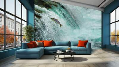 salmon jumping waterfall alaska Wall mural