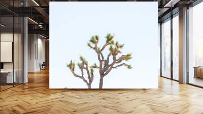 Desert Landscape Wall mural