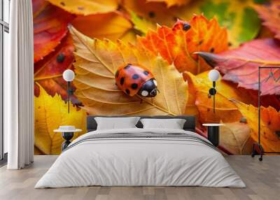 Ladybug on Autumn Leaves   Fall Nature Macro Photography Wall mural