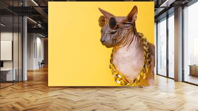 Cat of breed sphinx wearing in fashion glasses and a gold chain. Naked cat. A kitten without wool. Yellow background. Wall mural