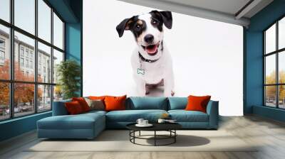 Portraite of adorable, happy puppy of Jack Russell Terrier. Cute smiling dog on white background. Free space for text. Wall mural