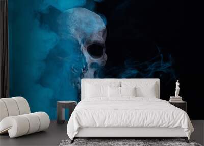 Scary grunge skull wallpaper. Mystical smoke background with free space for text.  Wall mural