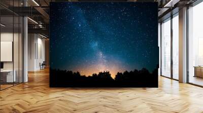 A dark night sky with stars and the Milky Way galaxy in view.  Wall mural