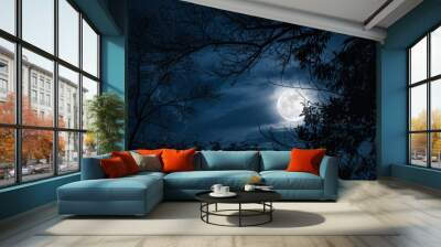 Silhouettes of dry tree against sky and beautiful super moon. Outdoor. Wall mural