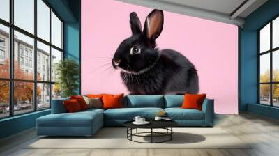 Adorable black rabbit against a soft pink backdrop Wall mural