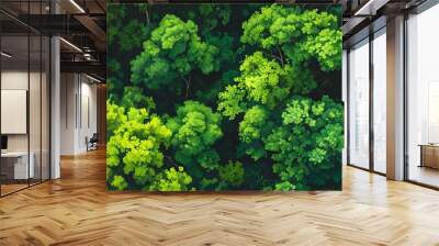 Aerial perspective of vibrant foliage in a lush green forest canopy, highlighting natures beauty and tranquility from above Wall mural