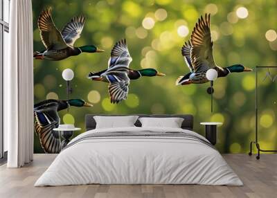 black wild ducks in flight over a lush green bokeh background Wall mural