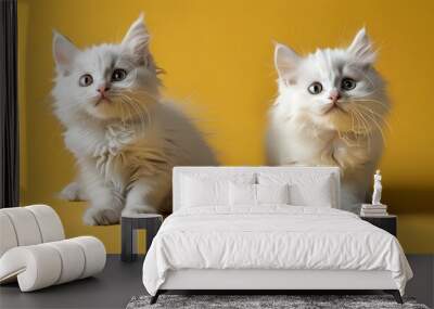 Charming duo of white cats playfully posed against a vibrant yellow backdrop Wall mural