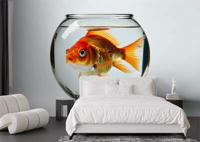 Confused fish trapped in a goldfish bowl on a stark white background, showcasing its bewildered expression in high clarity Wall mural