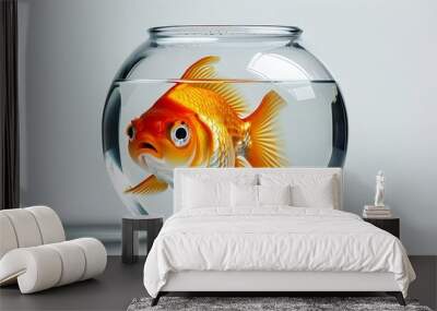 Confused fish trapped in a goldfish bowl on a stark white background, showcasing its bewildered expression in high clarity Wall mural