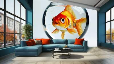 Confused fish trapped in a goldfish bowl on a stark white background, showcasing its bewildered expression in high clarity Wall mural