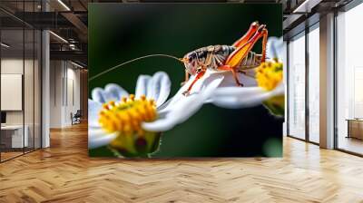 Cricket Gathering Nectar on Aster Flower: Highlighting Its Vital Role in the Ecosystem Wall mural