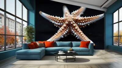 Elegant close-up of a light brown starfish adorned with white spots, set against a dramatic black background Wall mural