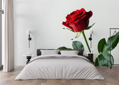 Elegant red rose symbolizing love and romance, perfect for Valentines Day, weddings, and romantic celebrations against a pristine white background Wall mural