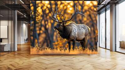 Elk with impressive antlers in a sunlit forest clearing during sunset Wall mural