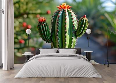 Festive cactus shaped like a Christmas tree decorated for the holiday season Wall mural