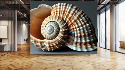 Intricate and vibrant portrayal of a seashell showcasing realistic textures and rich colors Wall mural