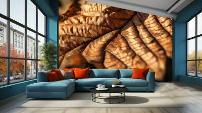 Intricate veins of a dried leaf illuminated by warm light Wall mural