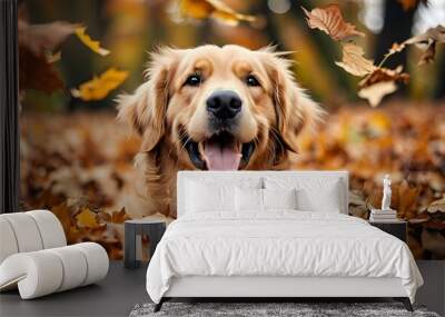 Joyful Golden Retriever Amidst Vibrant Autumn Foliage Wall mural